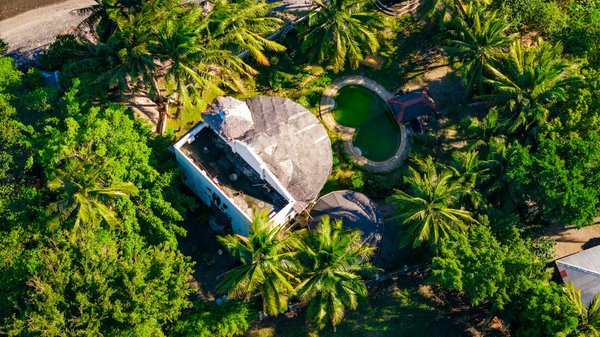 Quelles croisières offrent des excursions pour observer les baleines bleues en Norvège?